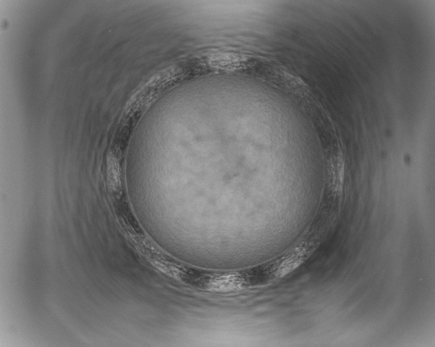 X0000054370705200508011221