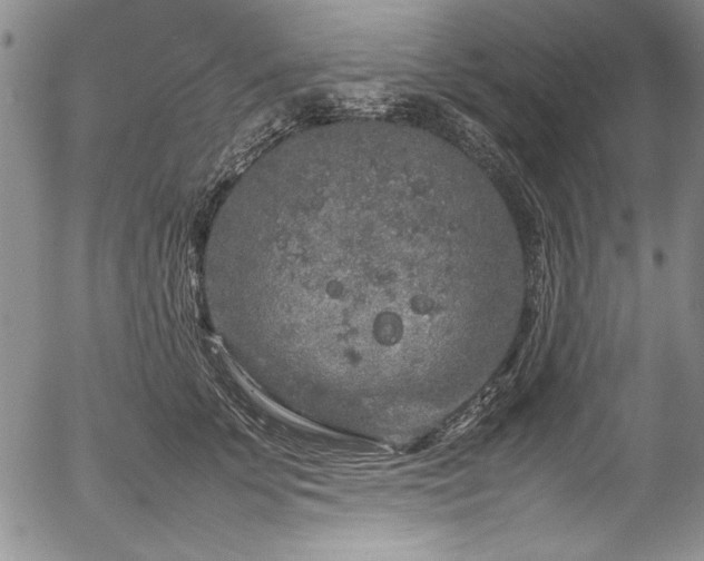 X0000054370707200508011220