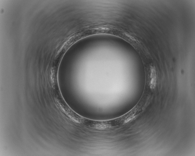 X0000054370708200508011220