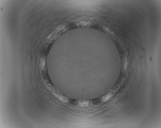 X0000054370709200508011220