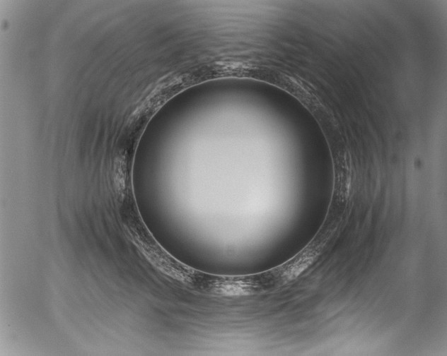 X0000054370710200508011220