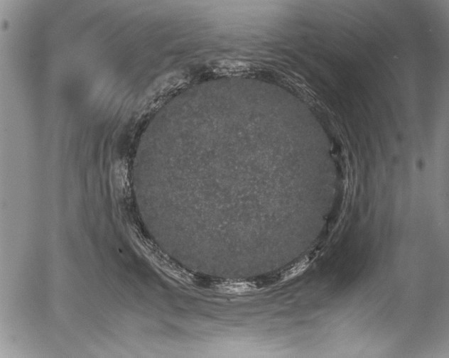 X0000054370711200508011220