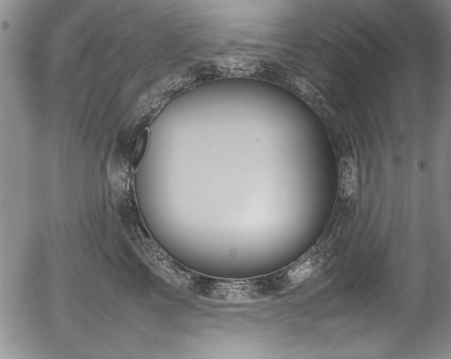 X0000054370713200508011220