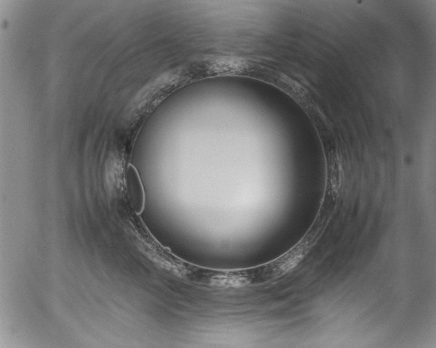 X0000054370714200508011220