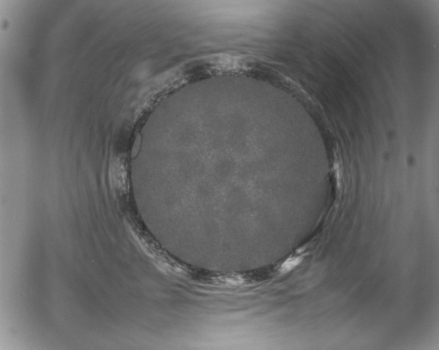 X0000054370715200508011220