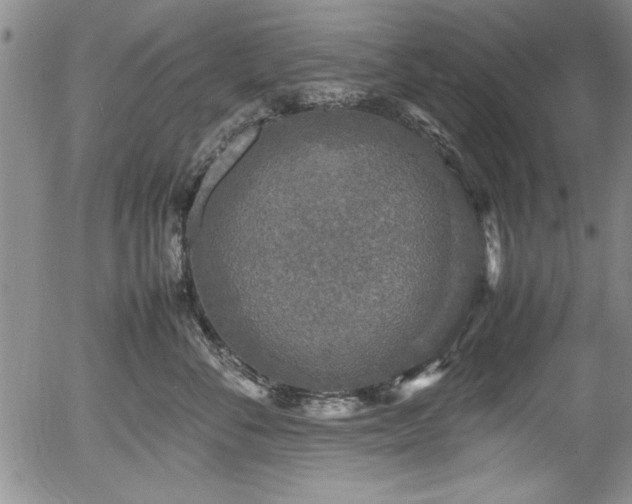 X0000054370716200508011220