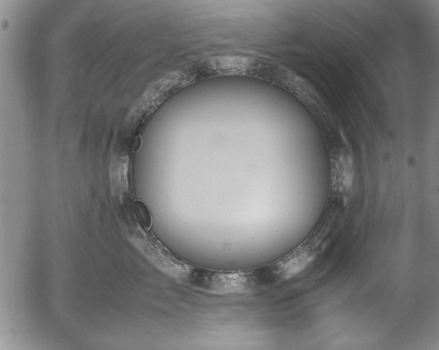 X0000054370717200508011220