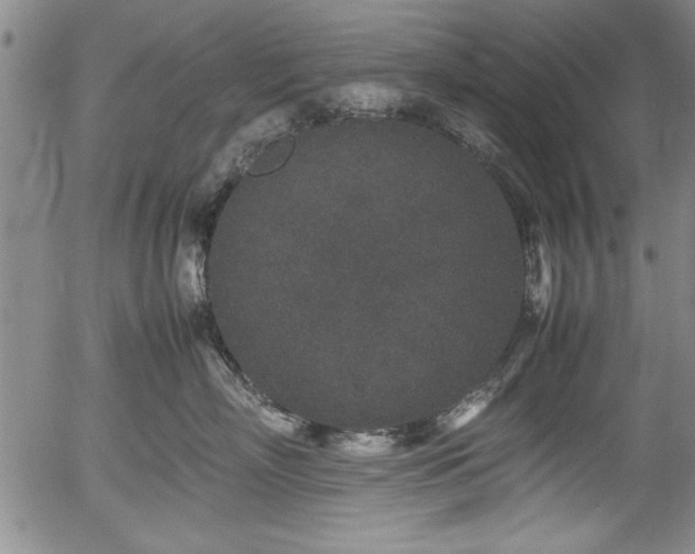 X0000054370718200508011220