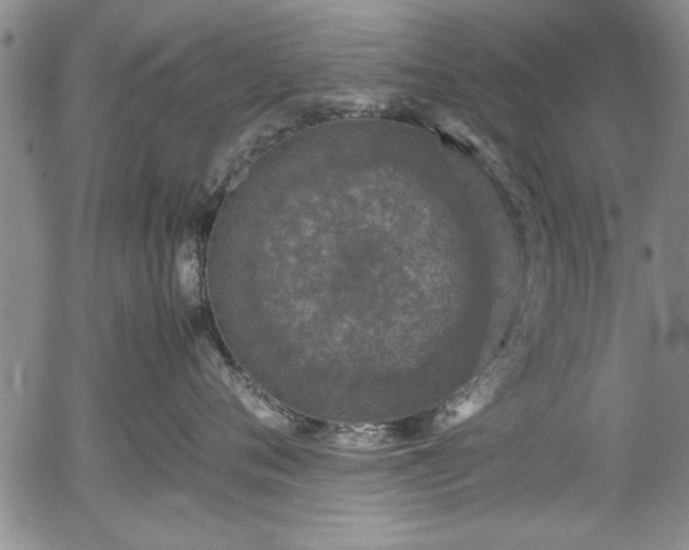 X0000054370720200508011220