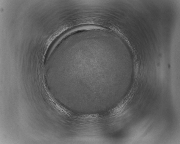 X0000054370721200508011219