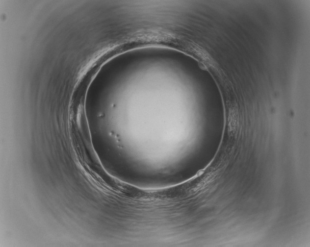 X0000054370722200508011219