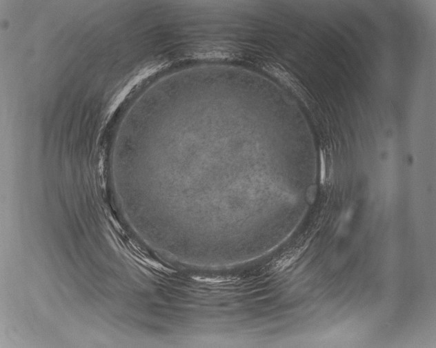 X0000054370723200508011219