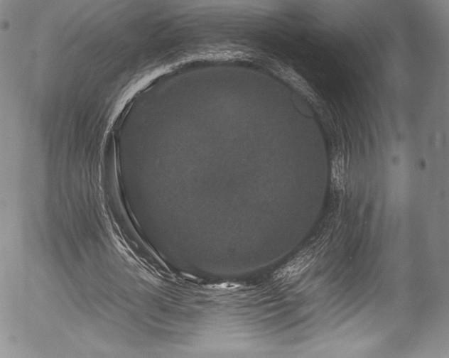 X0000054370724200508011219