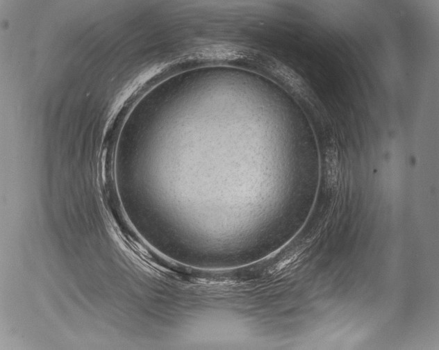 X0000054370726200508011220