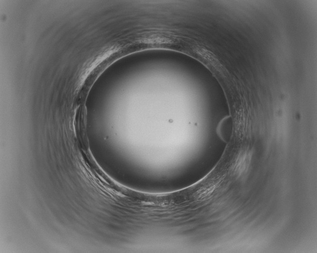 X0000054370727200508011220