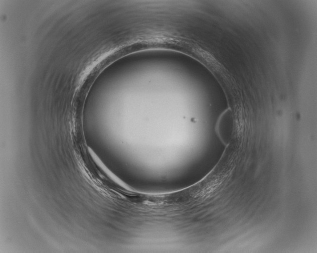 X0000054370728200508011220