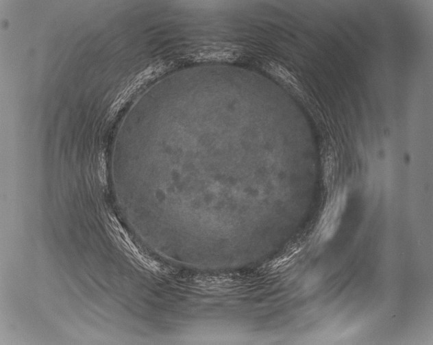 X0000054370729200508011220