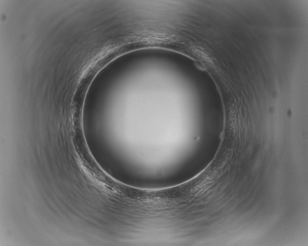 X0000054370730200508011220