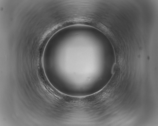 X0000054370732200508011220