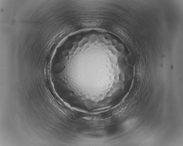 X0000054370733200508011220