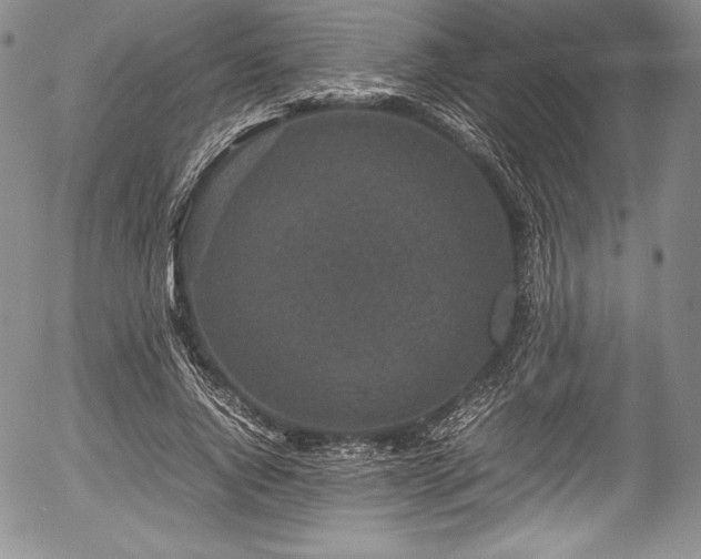 X0000054370736200508011220