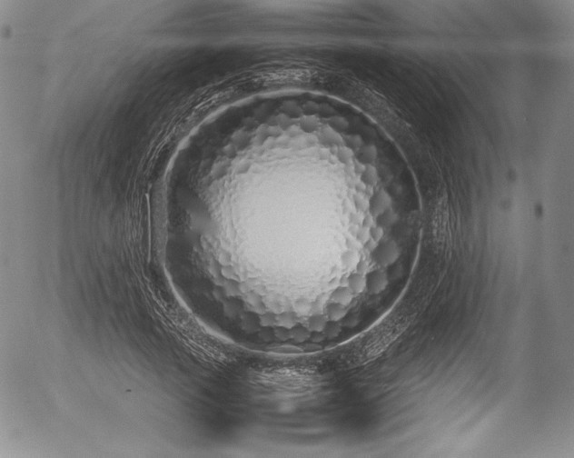 X0000054370737200508011220