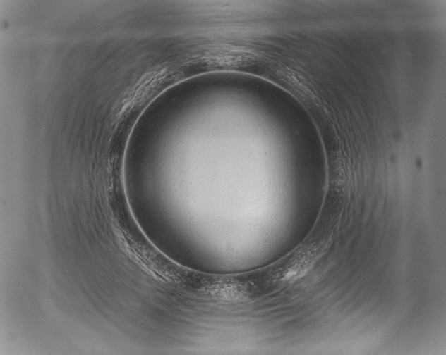 X0000054370738200508011220