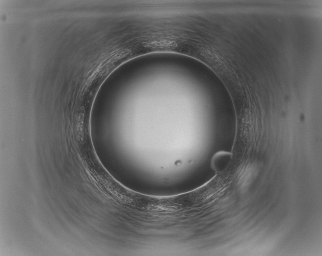 X0000054370739200508011220