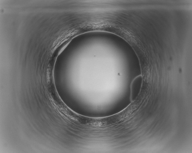 X0000054370740200508011220