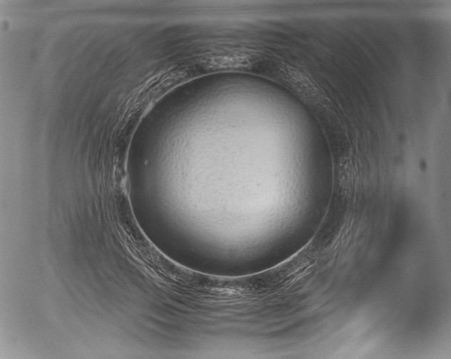 X0000054370741200508011220