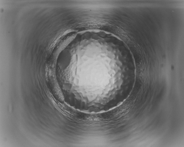 X0000054370742200508011220