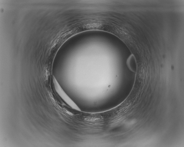 X0000054370743200508011220