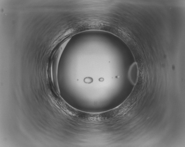 X0000054370744200508011220