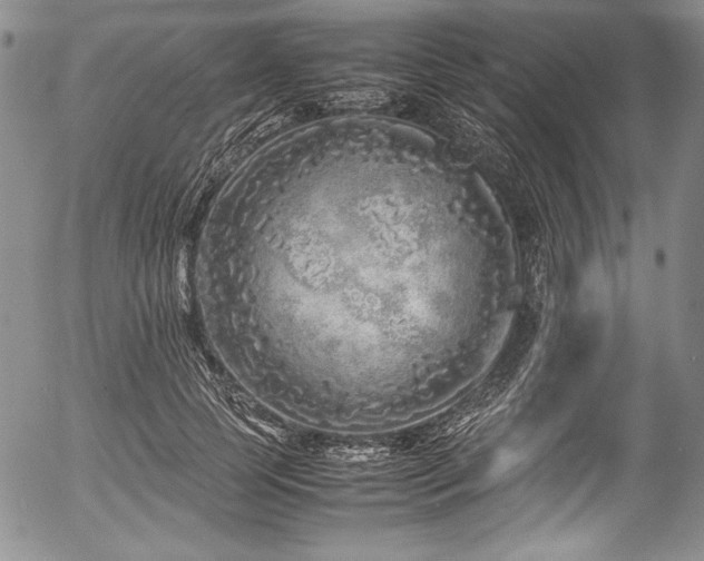 X0000054370745200508011220