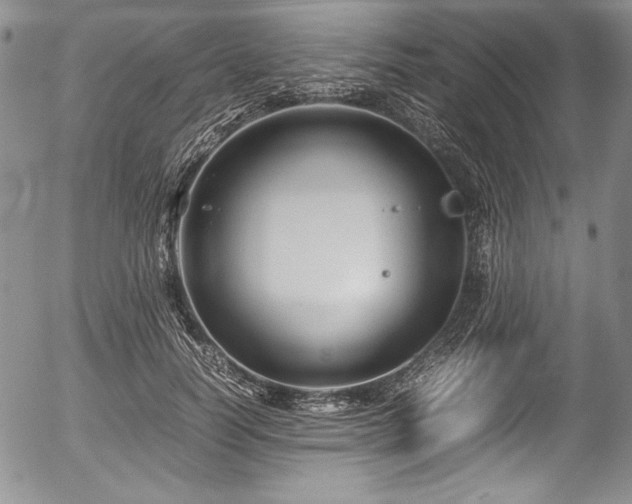 X0000054370746200508011220