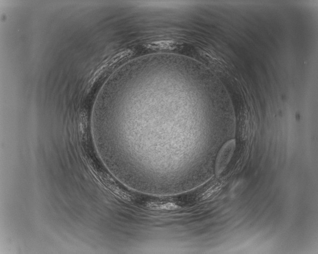 X0000054370747200508011220