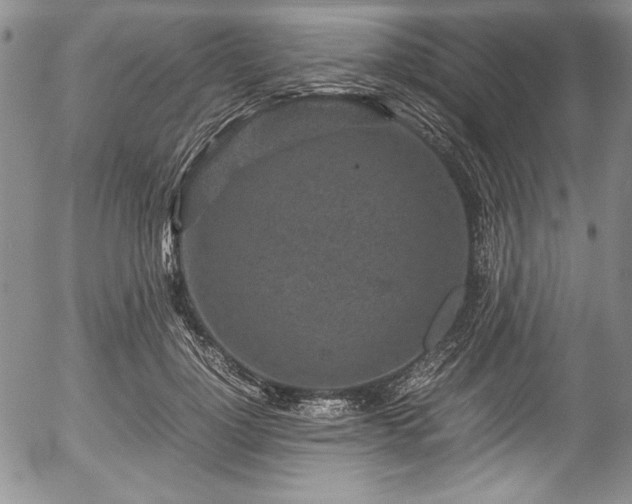 X0000054370748200508011220