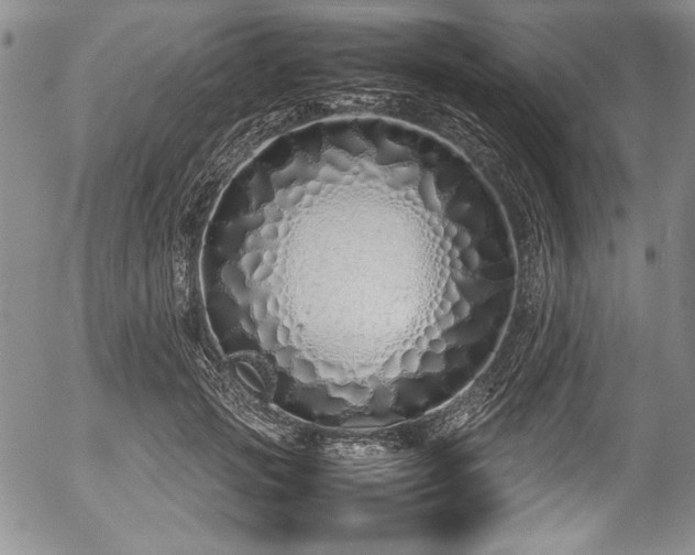 X0000054370749200508011220