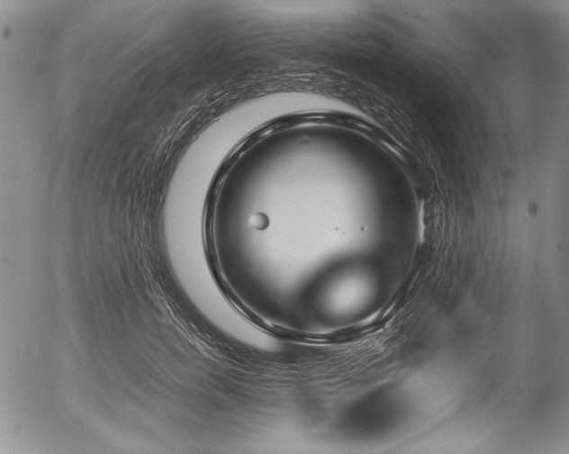 X0000054370750200508011220