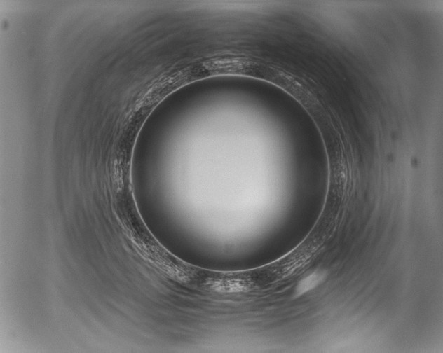 X0000054370751200508011220