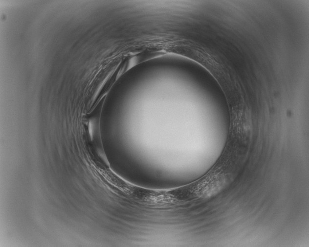 X0000054370752200508011220