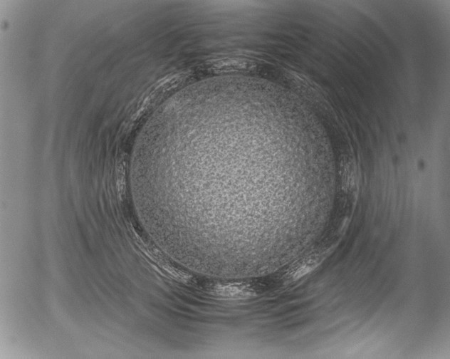 X0000054370753200508011220