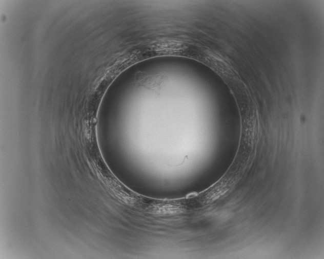 X0000054370755200508011220