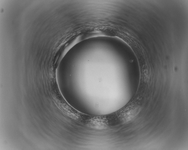 X0000054370756200508011220