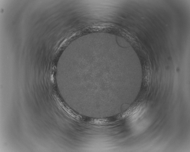 X0000054370758200508011220