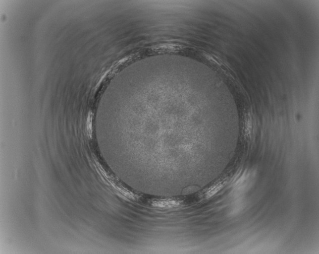 X0000054370759200508011220