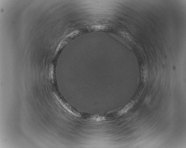 X0000054370760200508011220