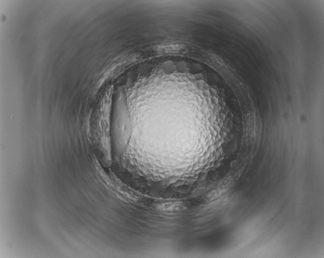 X0000054370761200508011220