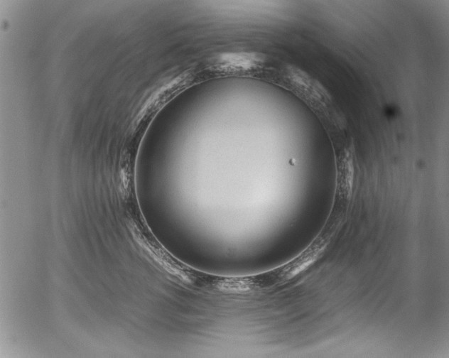 X0000054370762200508011220