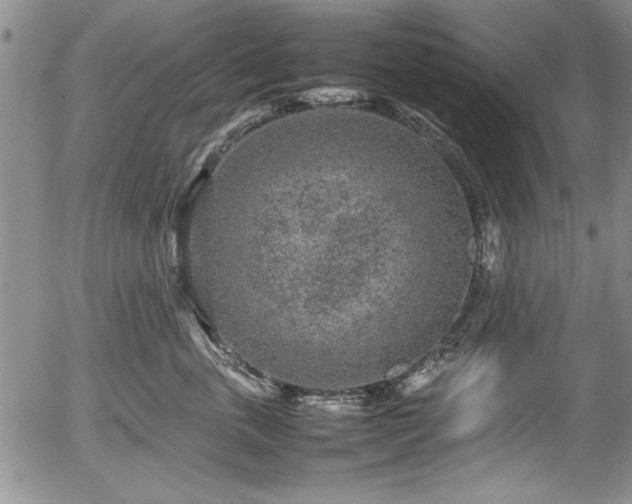 X0000054370763200508011220